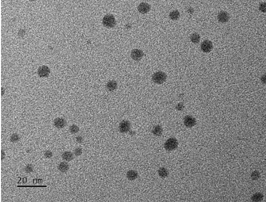 Kanser fototermal tedavisi için ışığa duyarlı çift ağ hidrojellerinde gümüş sülfür nanopartiküllerinin yenilikçi kullanımı