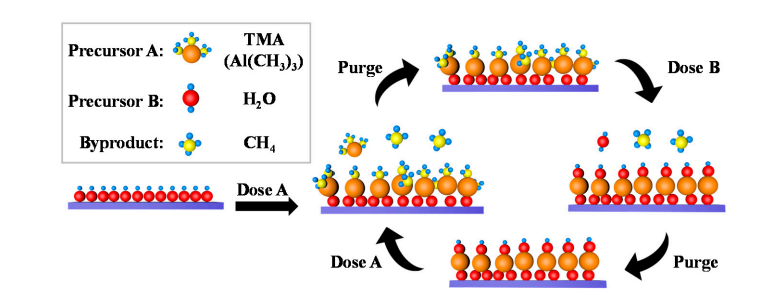 surface hydroxyl groups