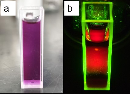 Kırmızı ışık Karbon Kuantum Noktası (CQD) Nanopartikülleri